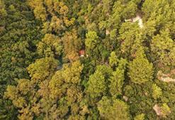 Antalya'da Kenan Evren için yaptırılan 'gizli köşk' konumuyla göz kamaştırıyor! Yıllardan beri kafe olarak kullanılıyor