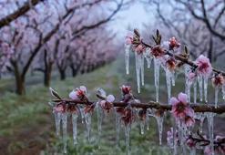 Adanalı üreticilere müjde! Destek ödemeleri başlıyor