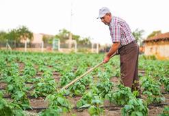 Eskişehirli üreticiye büyük destek! Tüm masraflar karşılandı