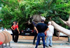 Antalya'da faciadan dönüldü: Devrilen ağacın altında kalmaktan son anda kurtuldular, 5 araçta büyük hasar oluştu