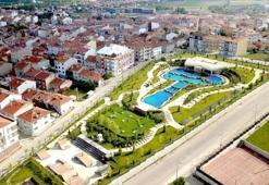 Eskişehir'de caddelerde görülddü! Kimse müdahale edemiyor: Vatandaş çaretsini buldu