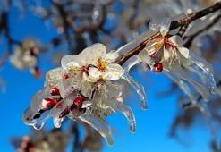 4 Kasım Malatya hava durumu: Bugün Malatya'da yağış var mı?