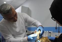 Sivas'ta tedirgin eden gelişme! Kedi AİDS'i ortaya çıktı: 'İnsandaki gibi kan yoluyla, cinsel yolla bulaşır'