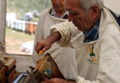 Dünya üretiminin yüzde 72'sini karşılıyor: Rekolte 20 bin tona ulaştı üreticilerin yüzü güldü!