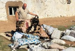 Şanlıurfa'da bilim kurgu filmi gibi olay: Aile nereye gitse alevler takip ediyor! Sığındığı komşunun evi de tutuştu