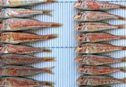 Karadeniz'de iki yıllık araştırma sonuçlandı: Bir bardak sudaki risk, 7 kilo balıktan daha fazla