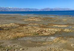 Renkli yazlardan sessiz çöl manzarasına! Van Gölü'nün 8 yıllık değişimi
