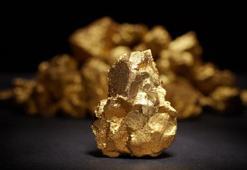 14,9 milyon ton cevher! Sivas'ın Kangal ilçesinin Alacahan köyünde 424 bin ons altın tespit edildi