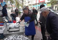Hamsinin kilosu 50 TL’ye düştü, vatandaş poşet poşet aldı
