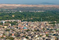 Gaziantep’te üvez alarmı! Seferberlik başladı, ekipler 7/24 sahada