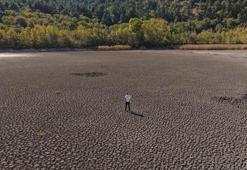 Türkiye'nin en değerli alanlarından biriydi! Kovada Gölü'nde büyük tehlike: Bir bir yok oluyorlar