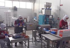 Afyonkarahisar'da 4 yıl önce üretime başladı! Devlet desteğiyle işi büyütüp yurt dışına açıldı
