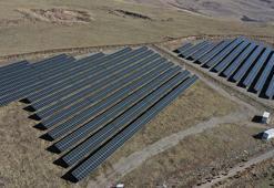 Ağrı'nın güneşi paraya dönüşüyor! Devlet desteğiyle 8 güneş enerjisi santrali kuruldu
