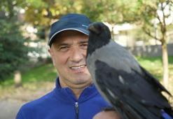 Otobüs kaptanıyla karganın 2,5 yıllık inanılmaz dostluğu! Şakir adını verdiği karga market alışverişini kendi yapıyor, çay içiyor!