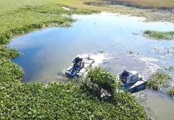 Asi Nehri'ni kaplayan istilacı Su Sümbülleri, Hataylı kadınların elinde sanata dönüşüyor: Gölbaşı Gölü temizliği için kritik proje!