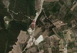 Ormanın ortasındaki arazi satışa çıktı! Bursa'da iki ilçede arsa taksit imkanı var