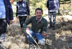 Kilosu etle yarışıyor! Japonların gözdesi yetişti, herkes toplamak için yarışıyor