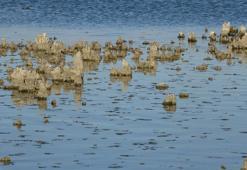 "Kuş Cenneti" olarak biliniyor! Sular çekilince mikrobiyalitler ortaya çıktı