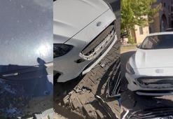 Sokak köpekleri ilçenin kabusu oldu! Otomobillere binlerce liralık zarar verdiler