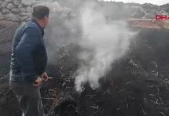 Mersin'de ailece üretiyorlar! 22 günde hazırlanıp çuval çuval satılıyor! Market fiyatları dudak uçuklatıyor