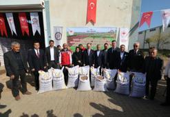 Siirt'te çiftçilere dev destek! 203 ton dağıtıldı! 588 üreticinin kazancı katlanacak