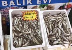 Balık tüketicilerine uyarı: Buzhane balığı tehlike saçıyor