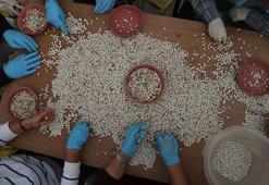 Erzincan'da üretildi, büyük restoran zincirleri peşine düştü! 10 yıllık emeğin ardından tescillendi, şimdi üretimi artırılacak