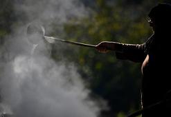 20 dönüm araziye ekti, yılda 1 ton üretmeye başladı! Düzceli kadın girişimci KOSGEB desteğiyle dünyaya açıldı: Yurt dışından sipariş yağıyor