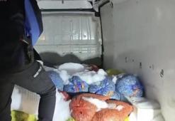 Samsun'da çuval çuval bulundu! Orman içinde izlerini kaybettirdiler