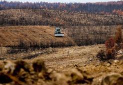 800 Hektar kül oldu! Adana'da yılda 5 milyon fidanlık 'yeşil vatan' seferberliği başladı