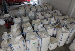 Çorum’da beyaz altın hasadı bitti! Kurutma süreciyle kazançlar artıyor