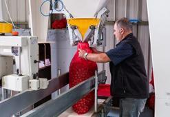 Kırklareli'de dev işletme elektrik faturasını sıfırladı! Enerjisini güneşten alıyor: 1200 Dekar Kıraç Alanda 200 ton ürün çıkardı