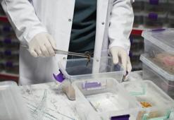 Nevşehir'de tesisi kurdu, Çin ve ABD'ye satıyor! 1 gramı servet değerinde eksi 44 dereceye dayanıklı