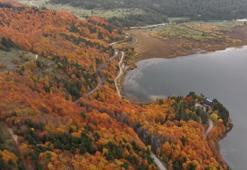 Abant'ta sonbahar şöleni! Göl girişinde kilometrelerce kuyruk oluştu