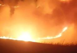 Kars'ta Ermenistan sınırında korkutan örtü yangını