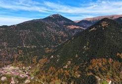 Karadeniz'in kalbine düştü! Altın değerinde: Hayran bırakıyor