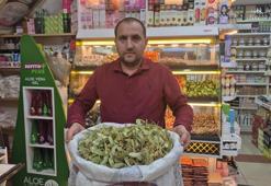 Geçen sene altınla yarışıyordu, bu yıl fiyatı yarı yarıya düştü! Tezgahlarda bollaştı, tam alım zamanı