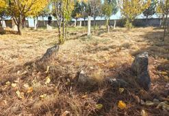 40 bebek Konya'da aynı yere defnedildi! Hikayeyi duyan tek kelime edemiyor