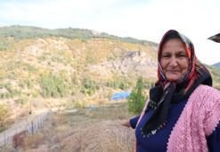 Adana'da 37 yıl önce köylüler dikti! Verilen emekler şimdi ormana dönüştü