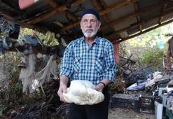 Kütahya'da bulundu, görenler şaştı kaldı! Tam 3 kilo ağırlığında