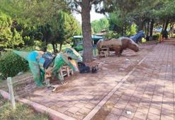 Çukurova'nın serveti çöp oldu! Adana'da terk edilmiş halde bulundu