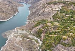 Diyarbakır'ın Akdeniz'i: Bu köye ne eksen onu biçiyorsun! Yöre halkına gelir kaynağı oldu