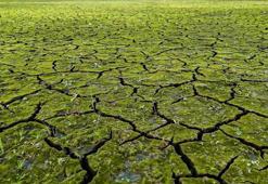 İstanbul'da barajlar kritik seviyede! Görüntüler endişe yarattı! İSKİ'den uyarı geldi