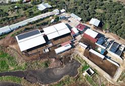 Memurluğu bıraktı, bu işe başladı! Devlet desteğiyle başladı, şimdi günde 4 ton üretiyor