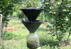 Bursalı vatandaşların kabusu oldu! Şimdiye kadar bildiklerimizin en tehlikelisi! Tüm Türkiye'ye yavaş yavaş yayılıyor!