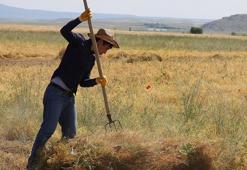 Bursalı çiftçinin yüzü gülüyor