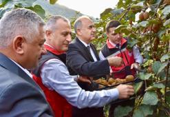 Kış mevsiminin en sevilen meyvesinde hasat başladı! Bir ilin ekonomisine dev katkı