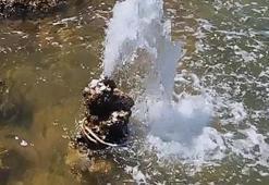 Van Gölü'nde hayrete düşüren görüntü! Mikrobiyalitten tatlı su fışkırdı