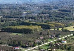 Bu topraklar ağaçlarla kaplanıyor! Türkiye'nin en verimli bölgesi tarımdan uzaklaşıyor