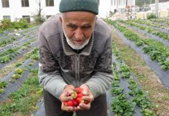 İnternette fenomen oldu, İstanbul'dan ziyaretçi akın etti: Ispartalı İbrahim Dede'den 30 yıldır misafirlerini 'Hayır Bahçesi'nde ağırlıyor